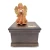 4 (12).webp