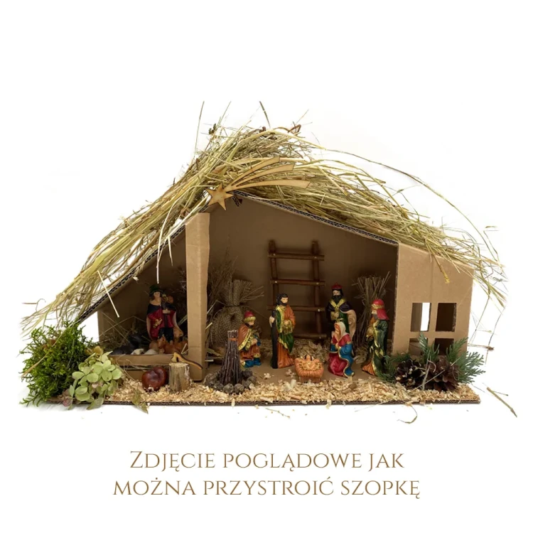 poglądowe.webp