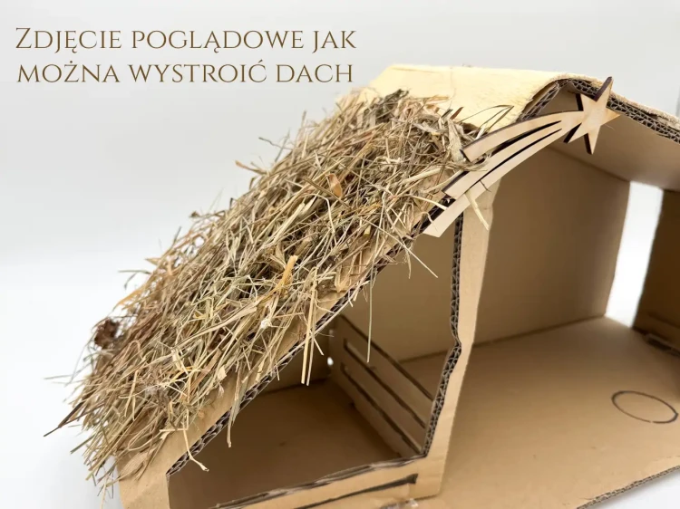 dach podglad2.webp