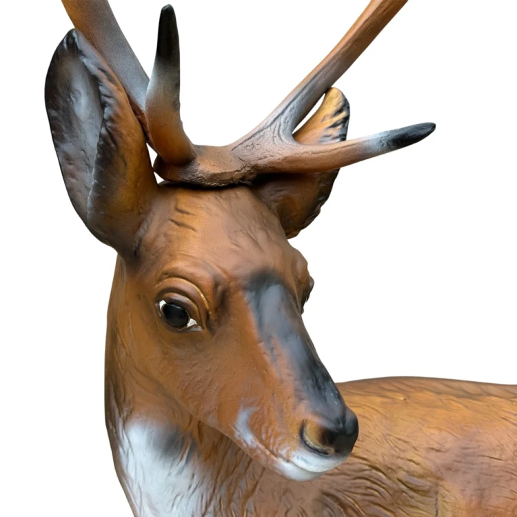 jelonek