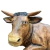 wolekduzy2web.webp
