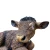 wolmaly2web.webp