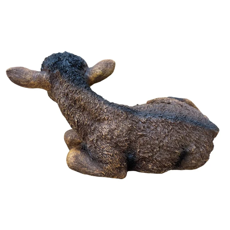 wół
