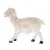 ow900 (1).webp