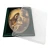 ryn16.webp