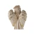 wia6.webp