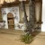 wall5.webp