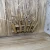 rach4.webp