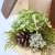 48742.webp