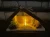 4874led.webp