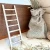 48743.webp