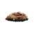 cho2.webp