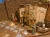 dar2.webp