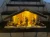 szo1234.webp