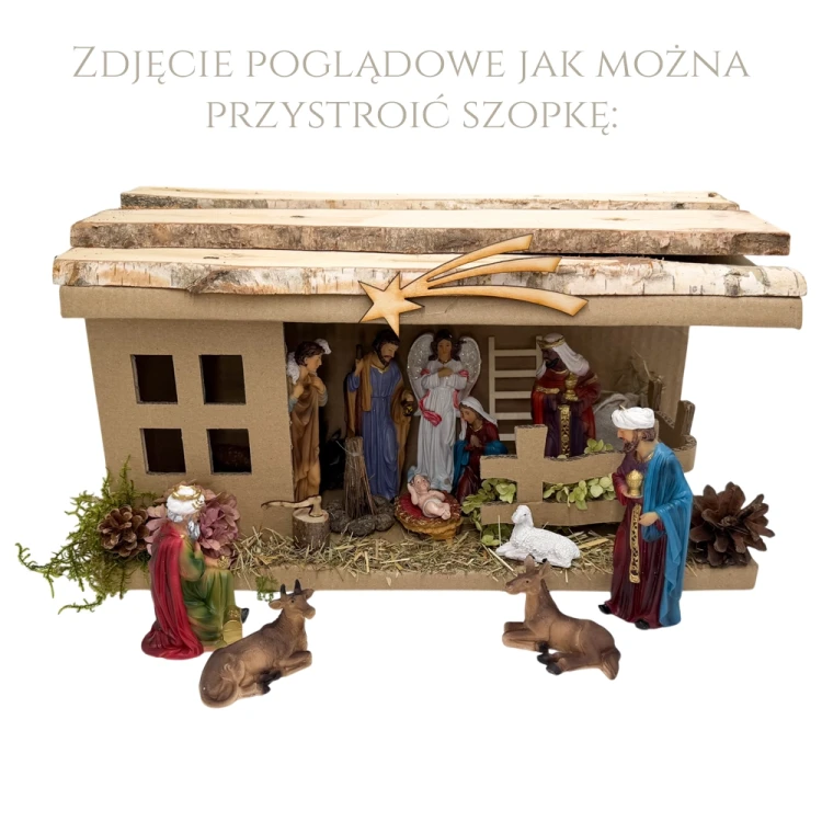 pogląd.webp