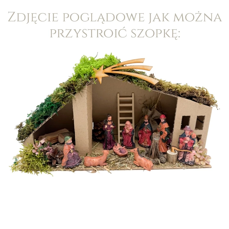 pogląd9.webp