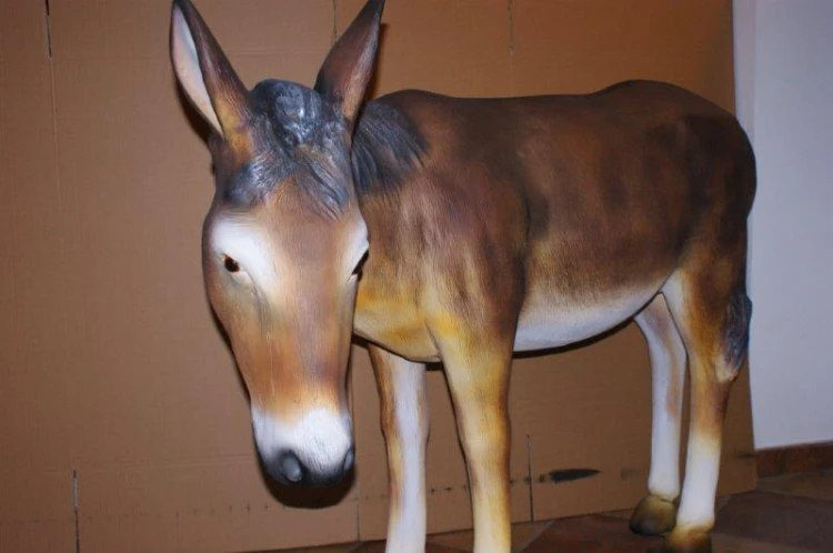 osioł 160cm (11).jpg